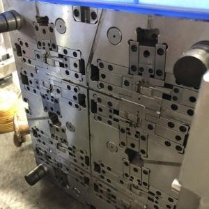 Precision Multi-cavity Mould